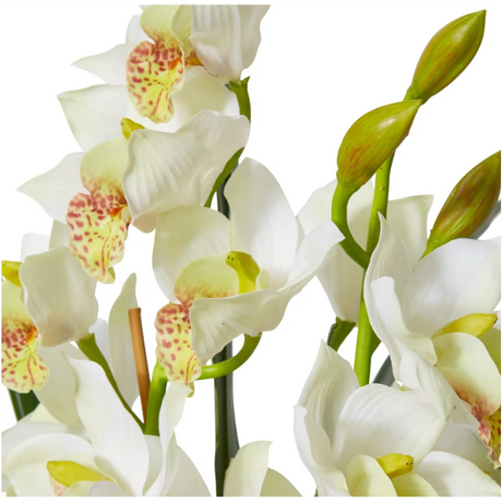Cymbidium Plant Potted - Artificial Plant