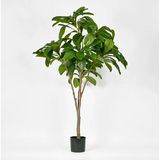 Frangipani Tree 180cm - Artificial Plant