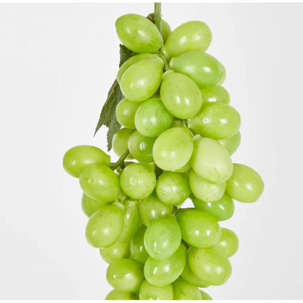 Green Grape Bunch with 85 Grapes