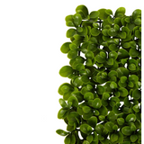 Greenery Garden Screen Mat - UV Treated