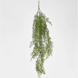 Light Green Hanging Boxwood