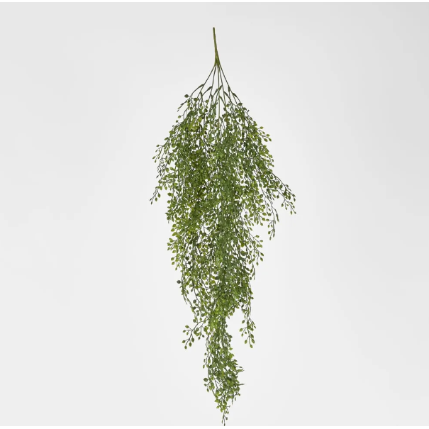 Light Green Hanging Boxwood