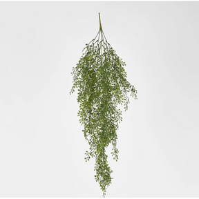 Light Green Hanging Boxwood