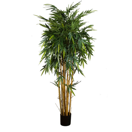 New Bamboo Tree - Artificial Plant (2.2m)