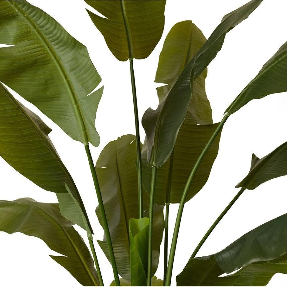 Palm Banana Green - Artificial Plant (180cm)