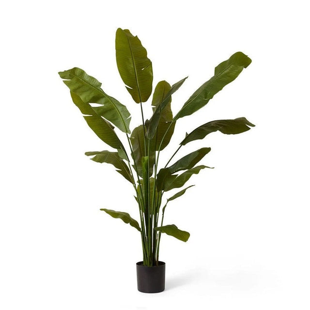Palm Banana Green - Artificial Plant (180cm)