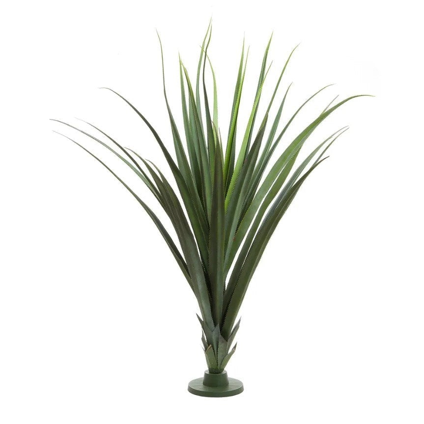 Pandanus Head Large 1.4m