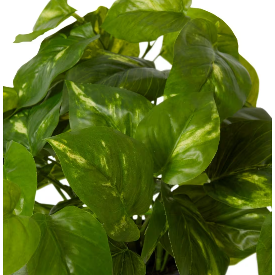 Pothos Golden Potted - Artificial Plant