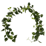 Pothos Leaf Garland - Dark Green