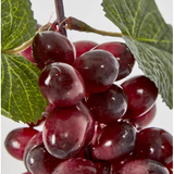 Purple Black Grape Bunch with 85 Grapes
