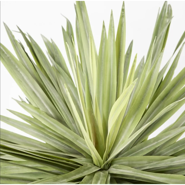 Soft Touch Potted Sisal 68cm - Artificial Plant