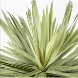 Soft Touch Potted Sisal 68cm - Artificial Plant