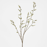 Stachyurus Spray