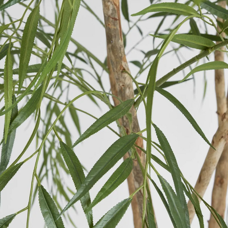 Willow Tree - Artificial Plant (180cm)