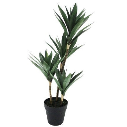 Yucca Quad Pot 66cm