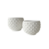 Sandy Spot Plant Pot