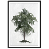 Palm Cove Print 103 x 73cm