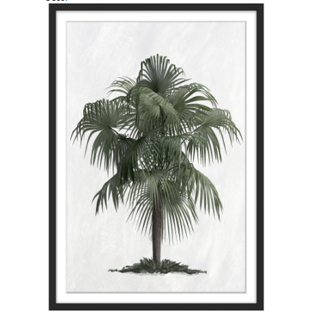 Palm Cove Print 103 x 73cm