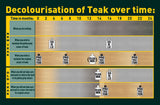 Golden Care Teak Cleaner